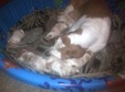 Enlarge photo 10