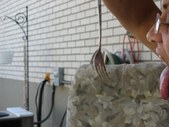 Enlarge photo 11