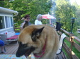Enlarge photo 26
