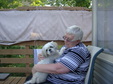 Enlarge photo 13