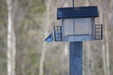 Enlarge photo 16