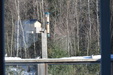 Enlarge photo 18
