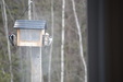 Enlarge photo 3