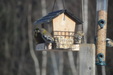 Enlarge photo 28