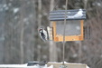 Enlarge photo 15