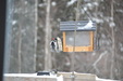 Enlarge photo 16