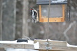 Enlarge photo 18