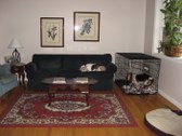Enlarge photo 8