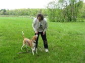 Enlarge photo 44