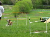 Enlarge photo 46