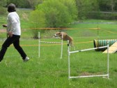 Enlarge photo 48