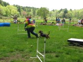 Enlarge photo 106