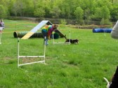 Enlarge photo 108