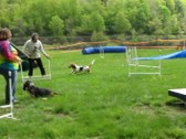 Enlarge photo 109