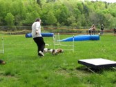 Enlarge photo 112