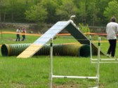 Enlarge photo 115