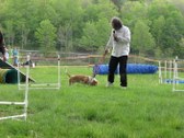 Enlarge photo 119