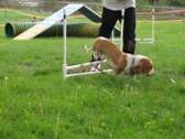 Enlarge photo 122