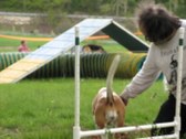 Enlarge photo 124