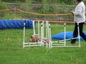 Enlarge photo 128