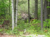 Enlarge photo 133