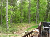 Enlarge photo 137