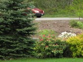 Enlarge photo 143