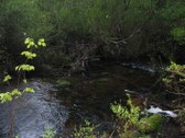 Enlarge photo 148