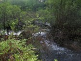 Enlarge photo 80