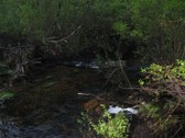 Enlarge photo 150