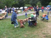 Enlarge photo 28