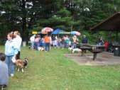 Enlarge photo 29