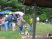 Enlarge photo 36