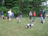 Enlarge photo 39