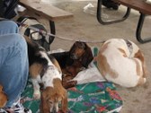Enlarge photo 13