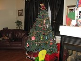 Enlarge photo 22