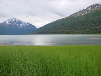 Enlarge photo 23