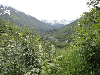 Enlarge photo 4