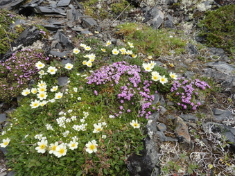 Enlarge photo 8