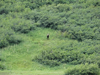 Enlarge photo 11