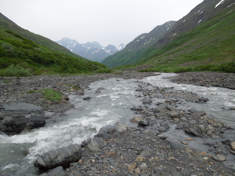 Enlarge photo 23