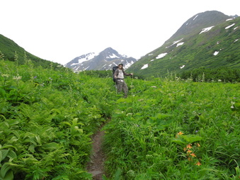 Enlarge photo 25