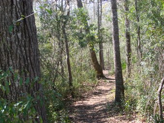 Enlarge photo 17