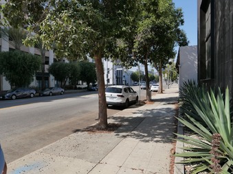 Enlarge photo 129