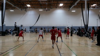 Enlarge photo 24