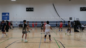Enlarge photo 43