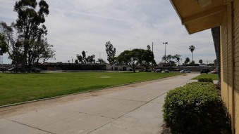 Enlarge photo 31