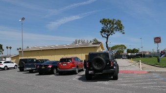 Enlarge photo 35