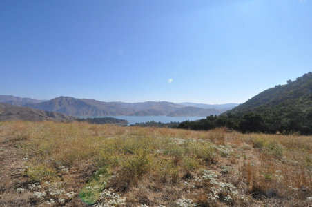 Enlarge photo 55