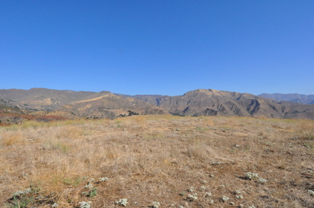 Enlarge photo 57